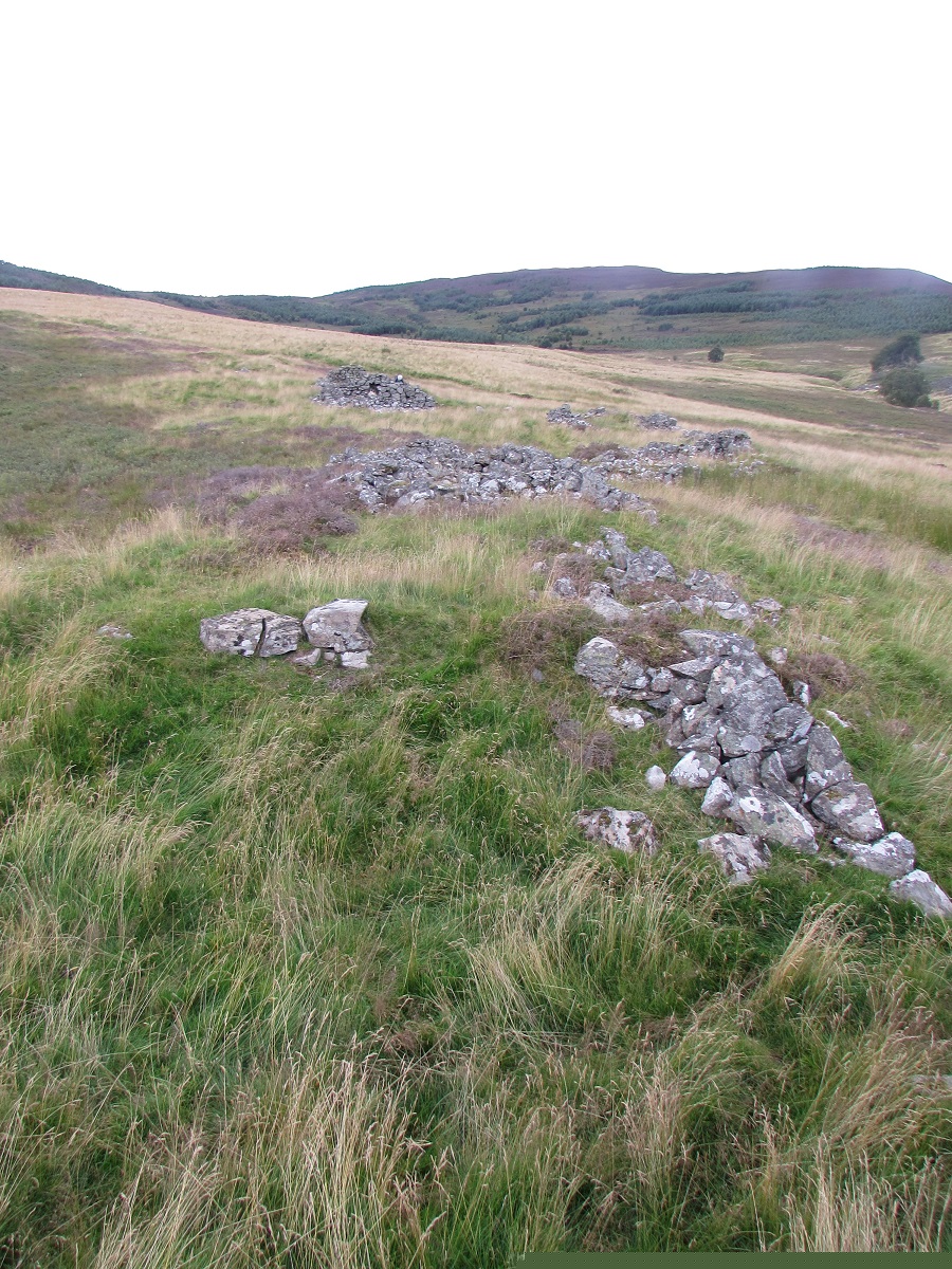 Paired stores at Woodsheal 
